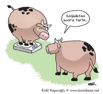 r5oseqv0zmg74ndkjl6di.webp