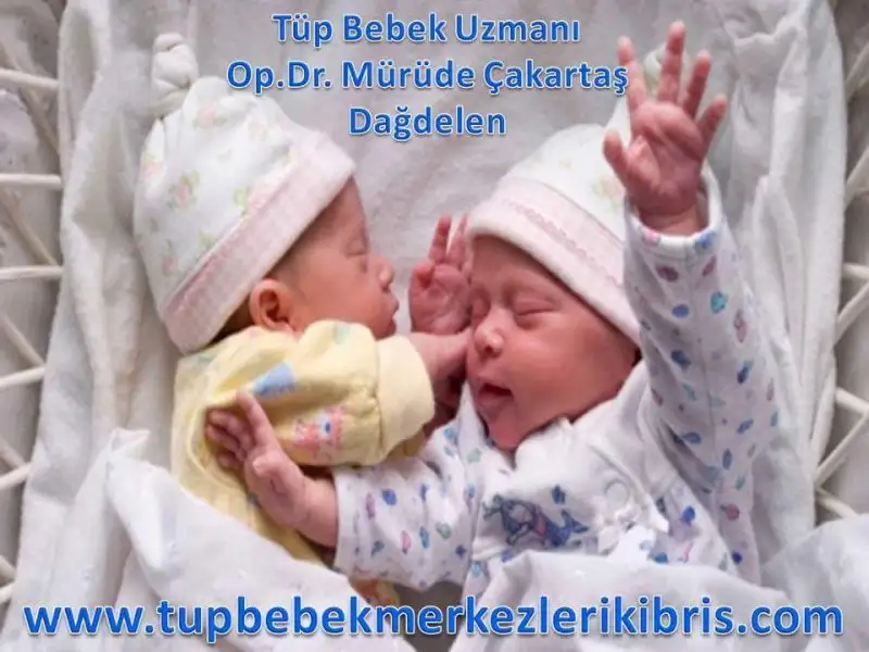 received_1350044735054068.webp