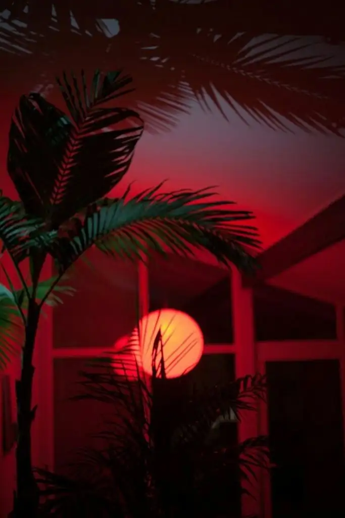 red (3).webp