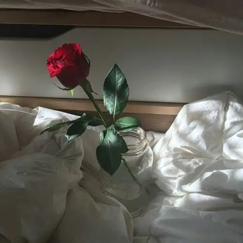 red (5).webp