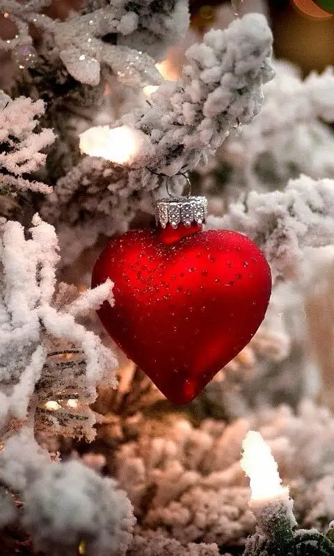 red (8).webp