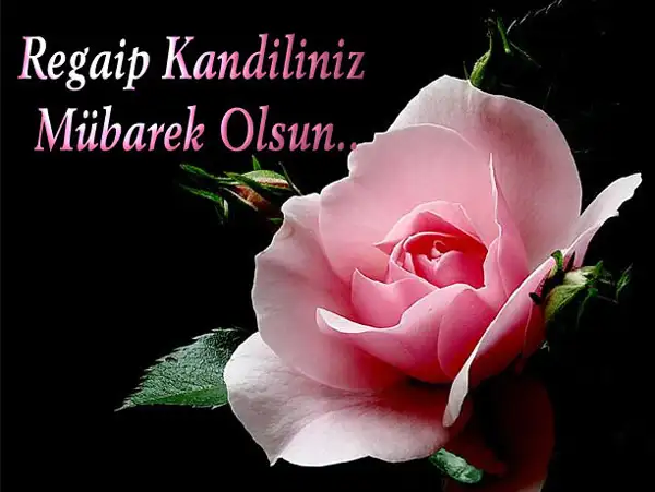 regaib-kandili-resimleri-mesajlari-tebrik-kartlari.webp