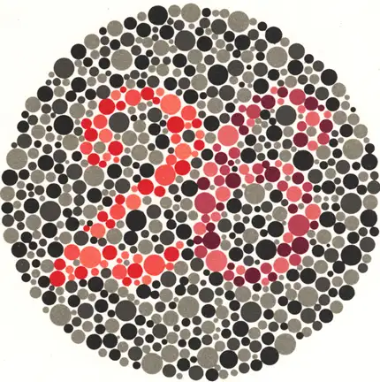 renk-korlugu-testi-20.webp