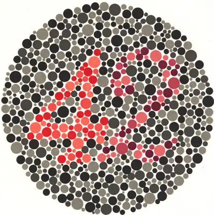 renk-korlugu-testi-22.webp