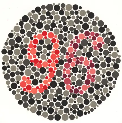 renk-korlugu-testi-24.webp
