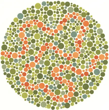 renk-korlugu-testi-31.webp