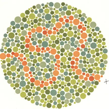 renk-korlugu-testi-32.webp