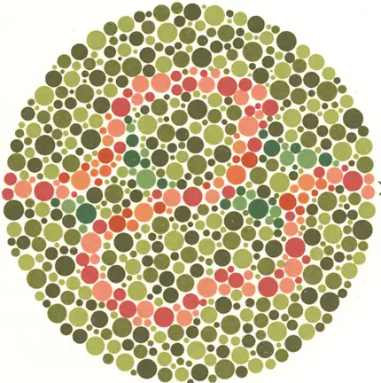 renk-korlugu-testi-35.webp