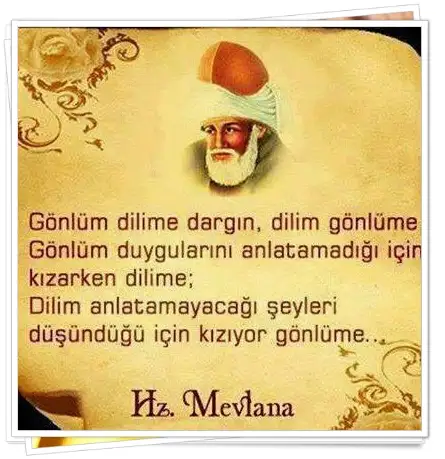 resimli mevlana sozleri 2.webp
