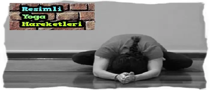 resimli-yoga-hareketleri-asanalar-2015-700x350.webp