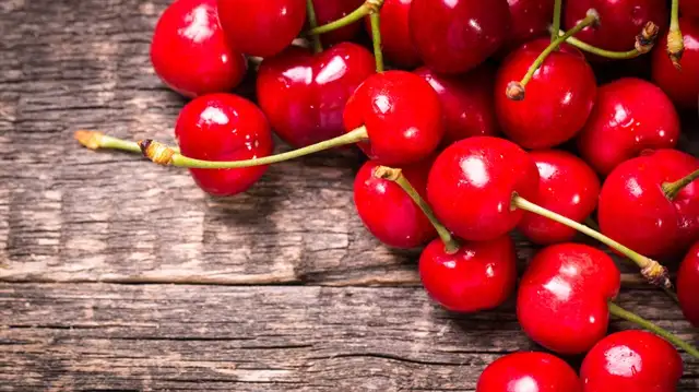 resized_0f4f1-f1b4b656shutterstock_283509569.webp