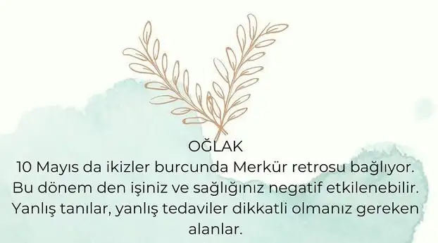 ret (10).webp