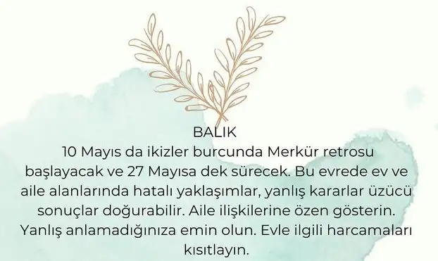 ret (12).webp