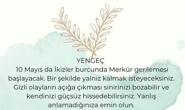 ret (4).webp