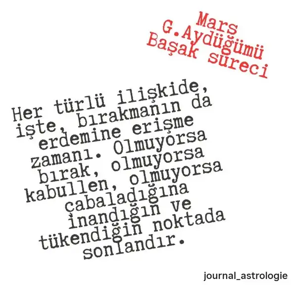 ret (4).webp