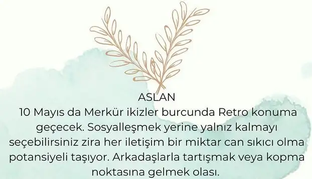 ret (5).webp