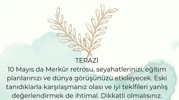 ret (7).webp