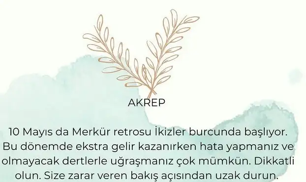 ret (8).webp