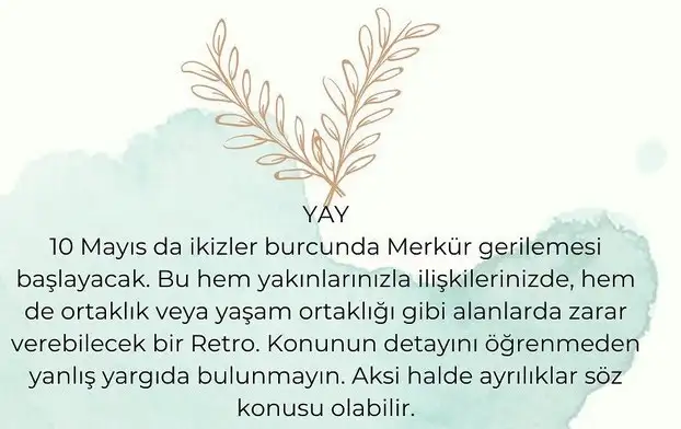 ret (9).webp