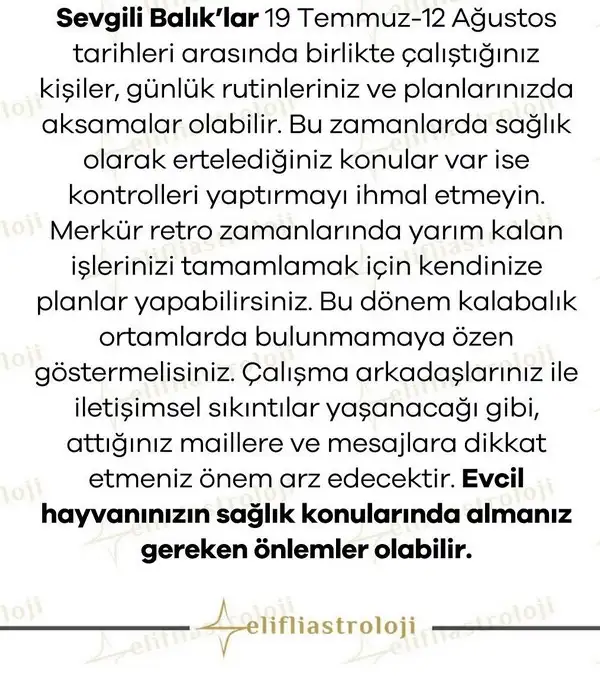 ret11 (14).webp
