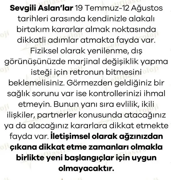 ret11 (6).webp