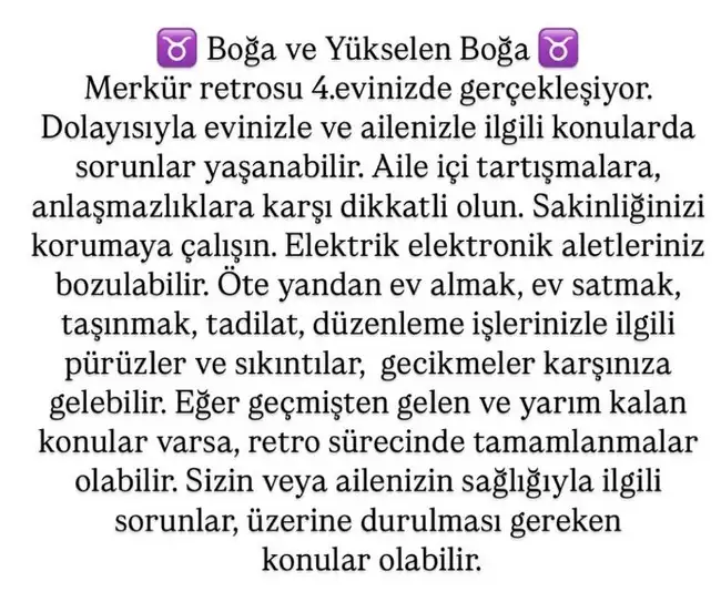 ret13 (3).webp