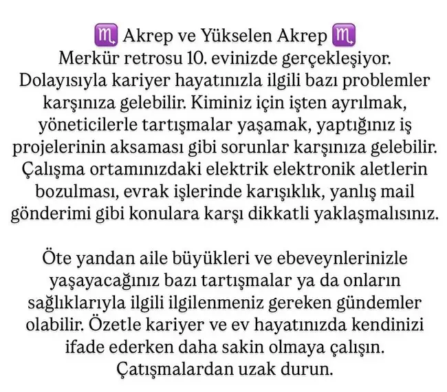 ret13 (9).webp