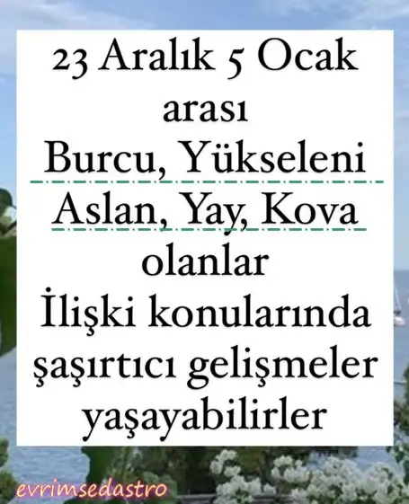 ret14.webp