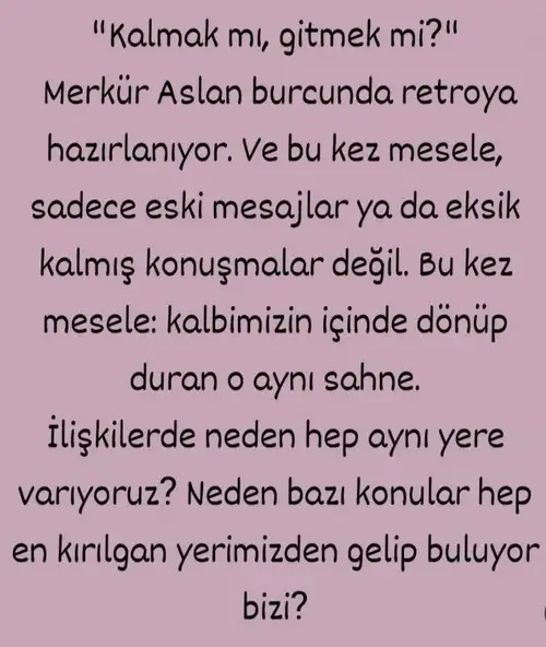 ret4 (1).webp