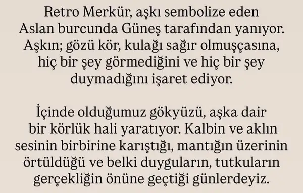 ret4 (2).webp