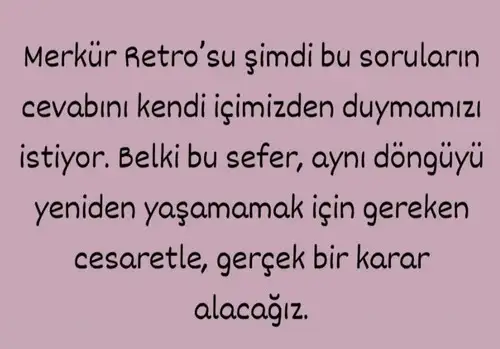 ret4 (4).webp