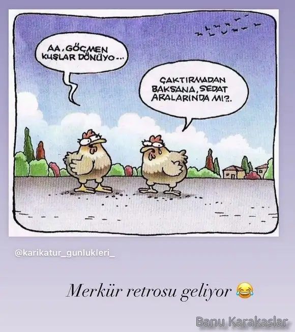 ret55.webp