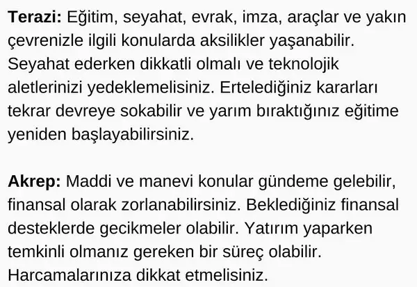 ret6 (4).webp