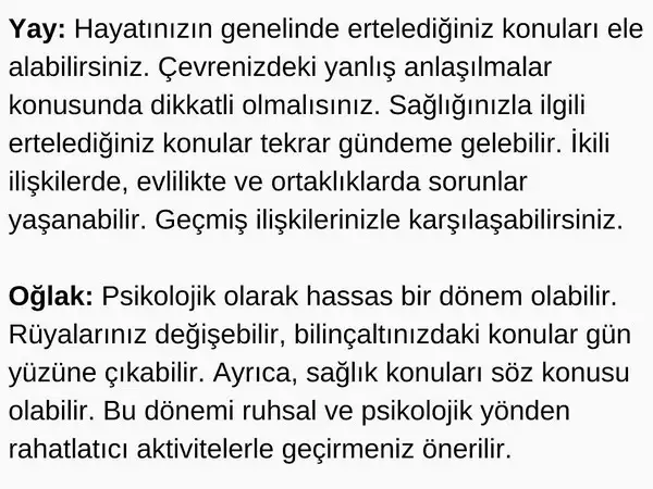ret6 (5).webp