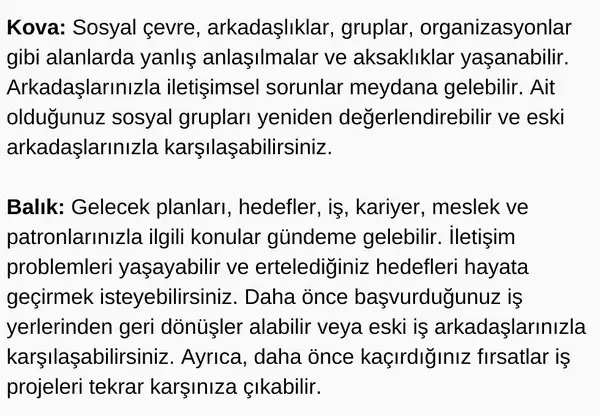 ret6 (6).webp