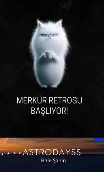 retr (1).webp