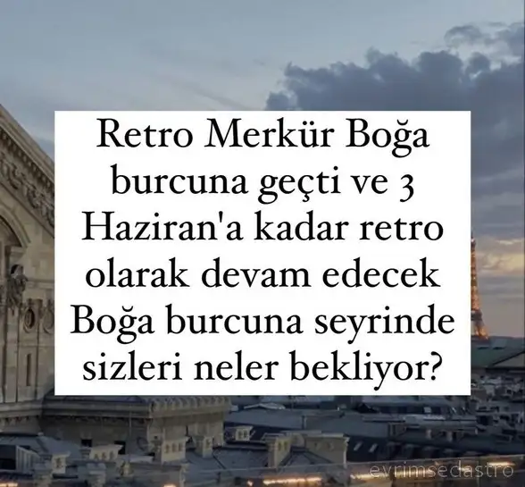 retro1 (1).webp