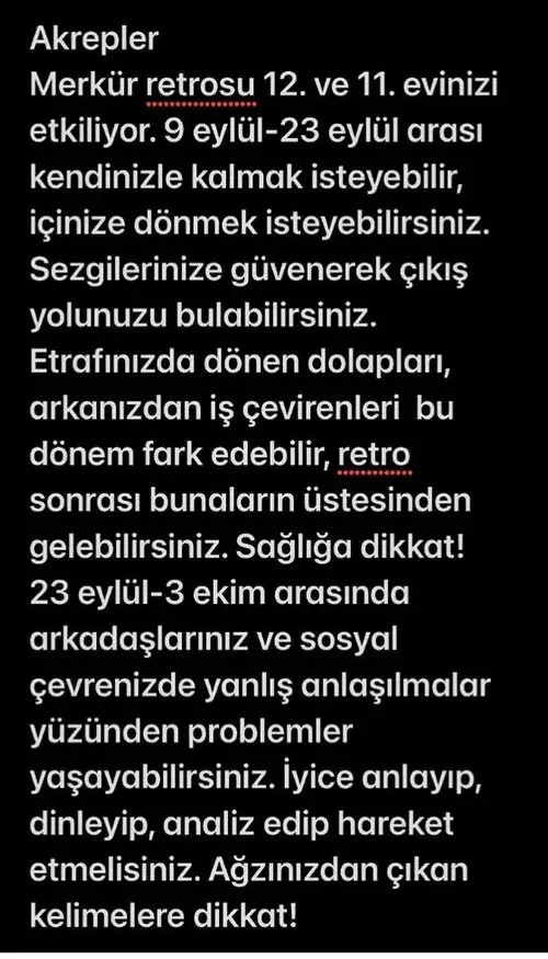 retro2 (10).webp