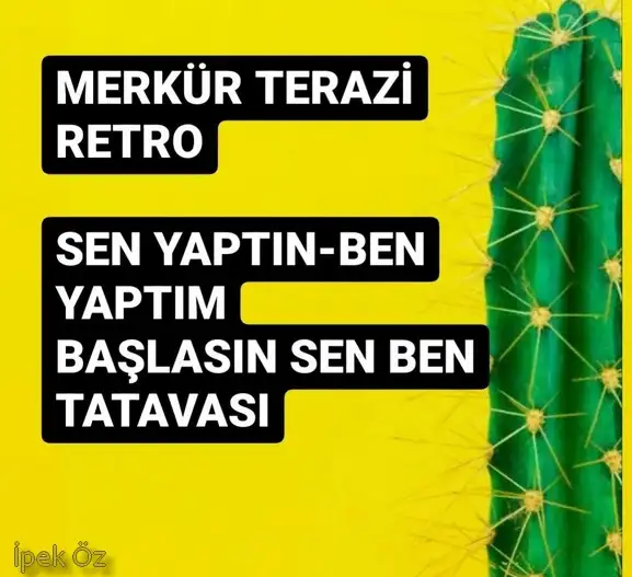 retro3 (1).webp
