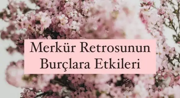 retro4 (1).webp