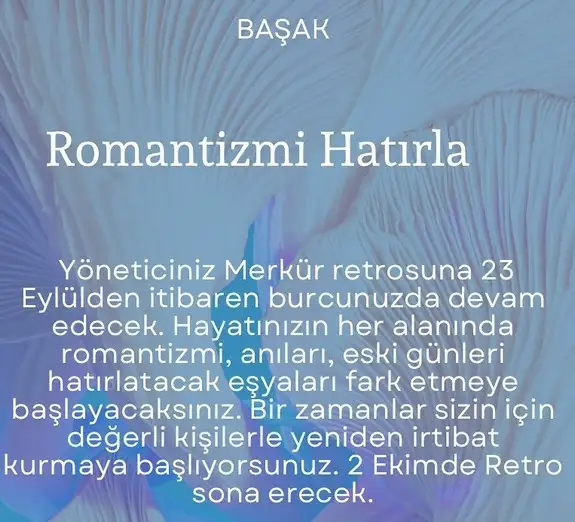 retro9 (7).webp