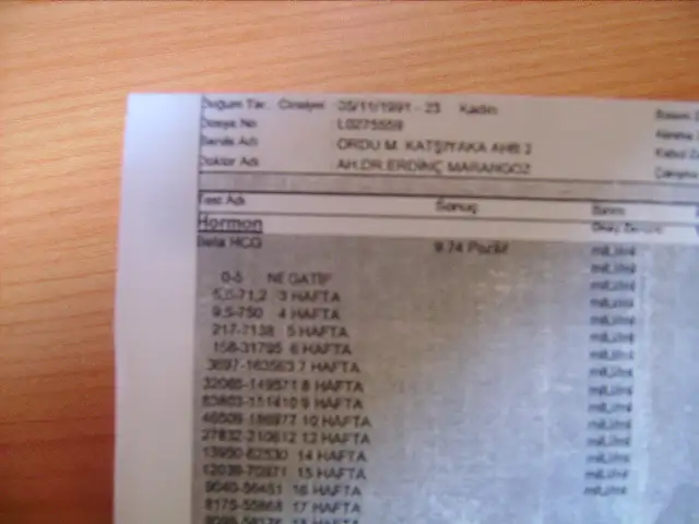 RIMG2505.webp