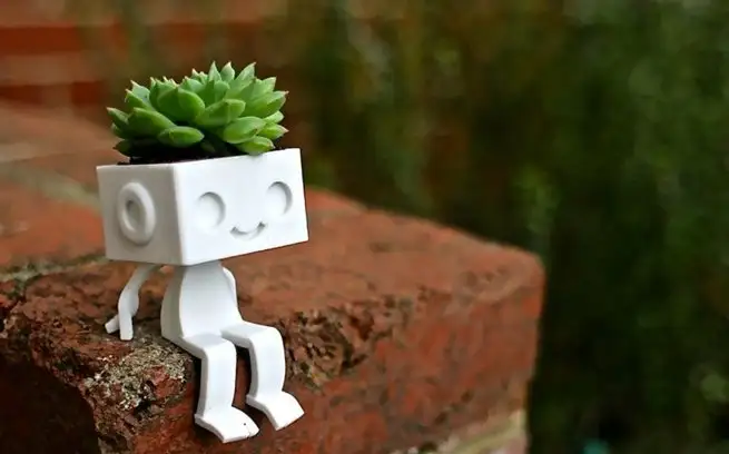 robot%20saksı.webp