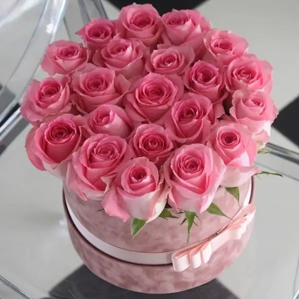 rose.webp