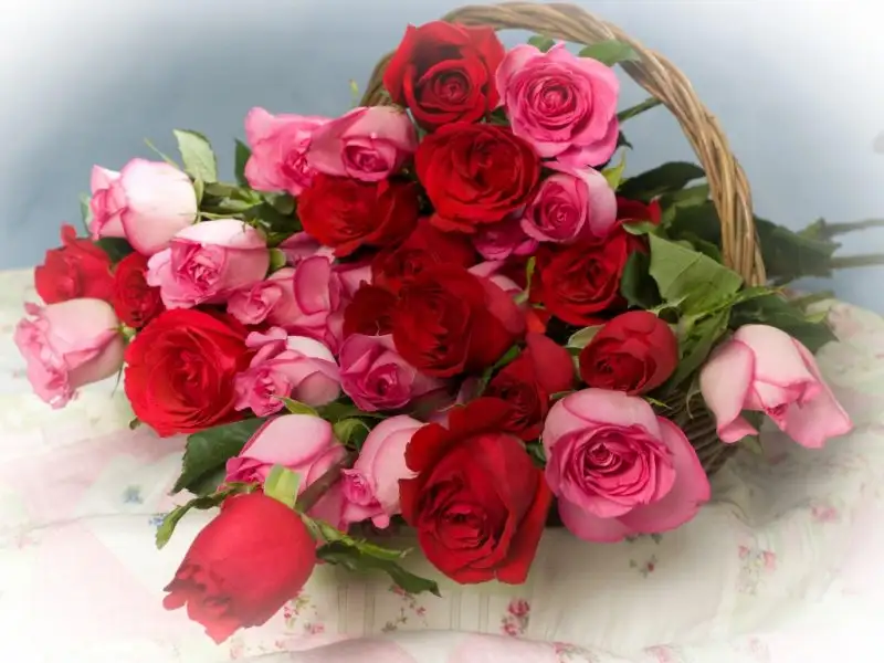 roses_flowers_lot_basket_66881_1024x768.webp