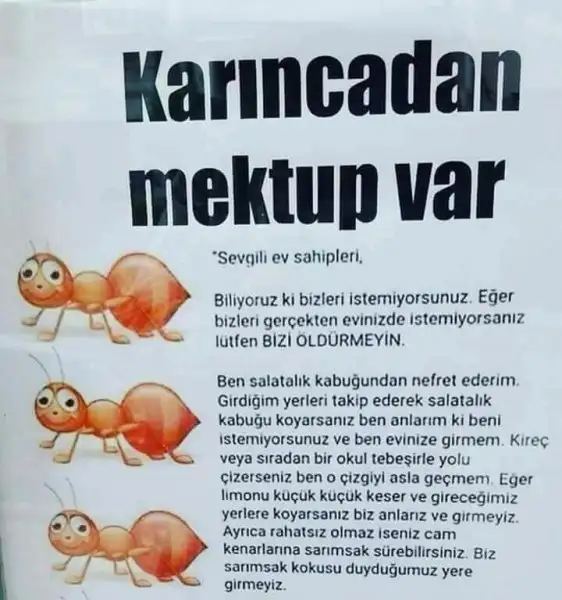 ş (39).webp