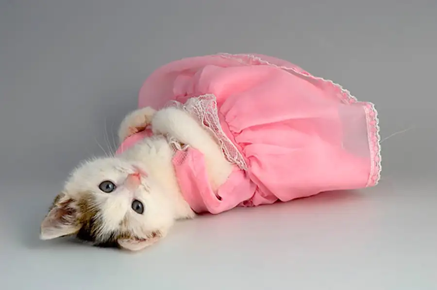 s-9daafff6431bb479a6f43cfb8880b61f6f612c8f.webp