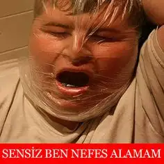 s-e31aaf2188325aebfb9508c73941498867a1c8c5.webp