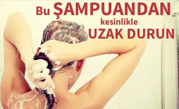 s.webp