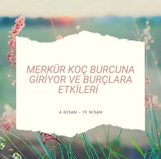 s.webp